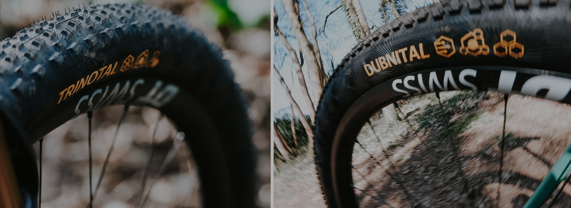 Pneu Tritonal et Dubnital