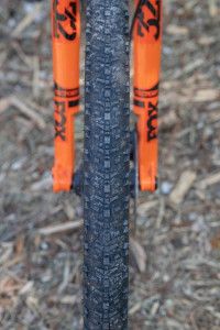 Hutchinson 2019 Skeleton