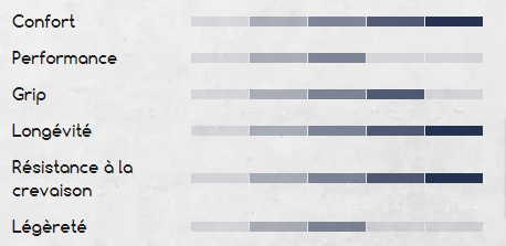 Les caractéristiques du Challenger d'Hutchinson