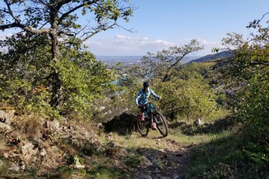Test cámara Aerothan para MTB
