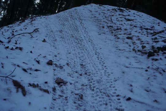 Traces pneus neige