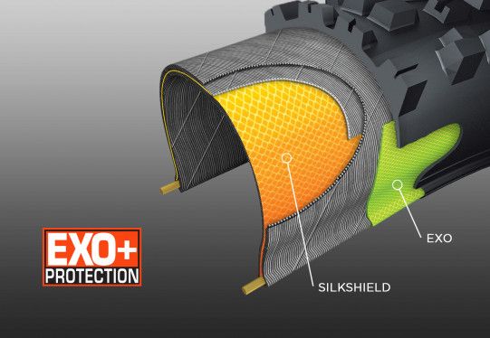 Maxxis Exo protection