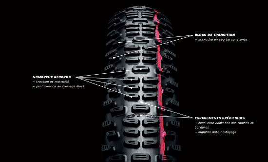 Profil Schwalbe Racing Ralph
