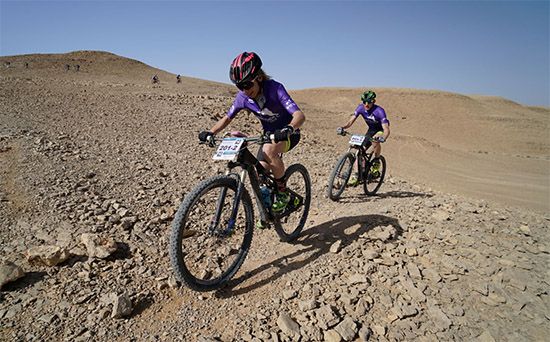 Michelin Force XC Pneu VTT 