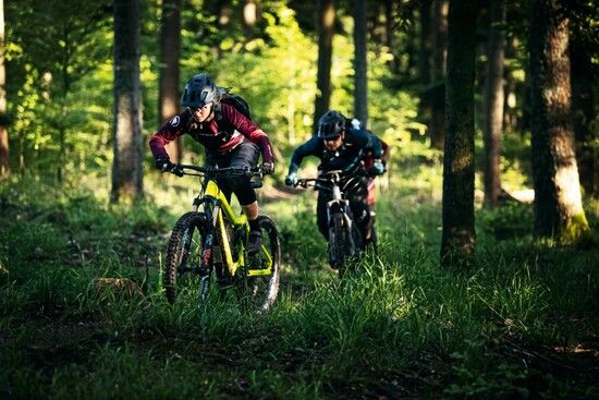 Motor E-bike bosch Performance CX