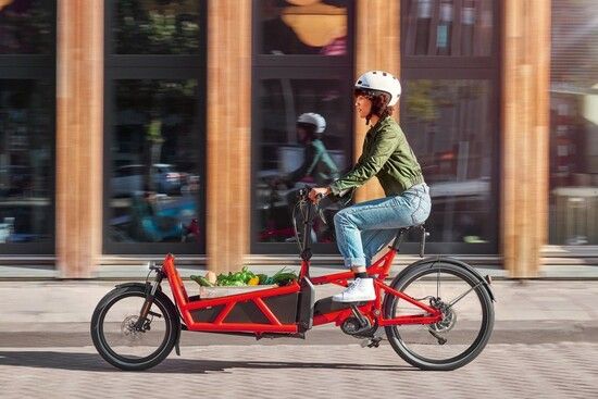 Bosch E-bike Cargo