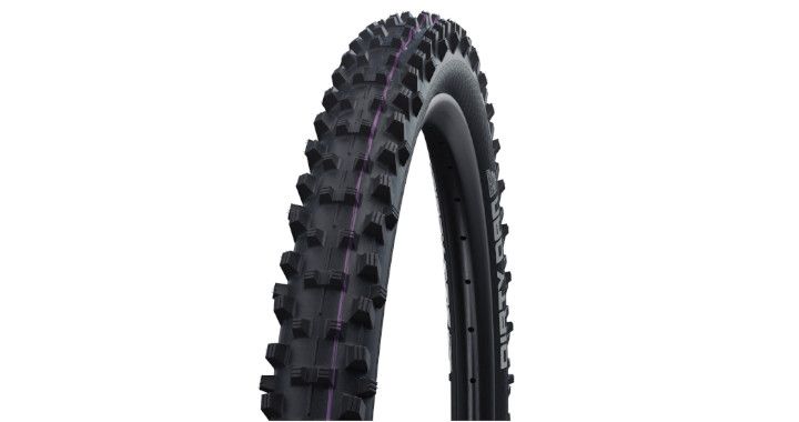Schwalbe Dirty Dan