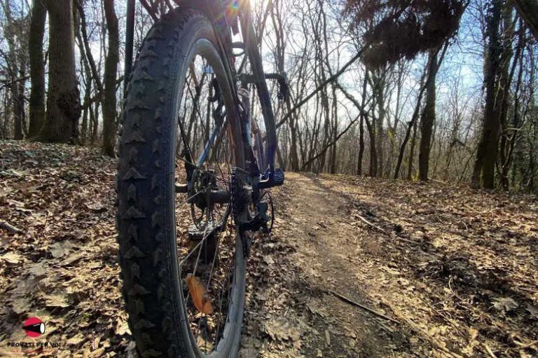 Photo conclusion du test