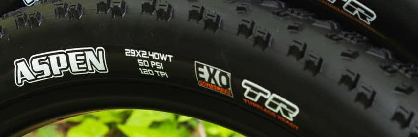 Maxxis Aspen ST