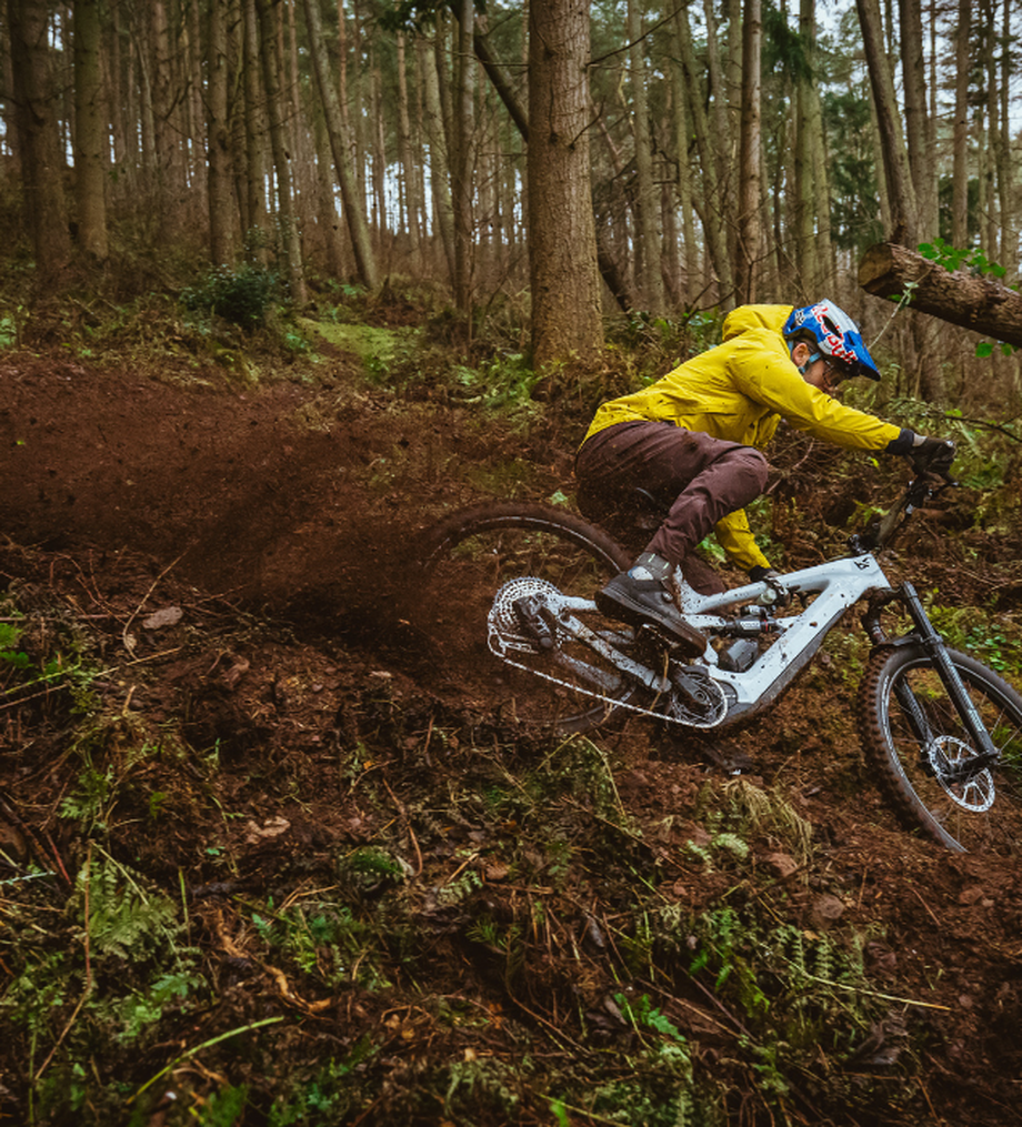 <p> Et pas besoin d’un code caché dans une forêt…🌳</p>